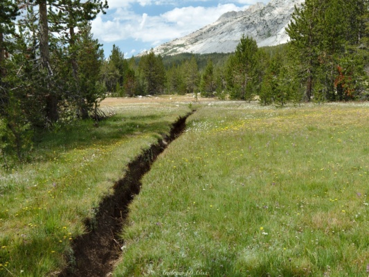 The trail has been carved into the meadow by rainfall, creating a sort of canyon french canyon trail