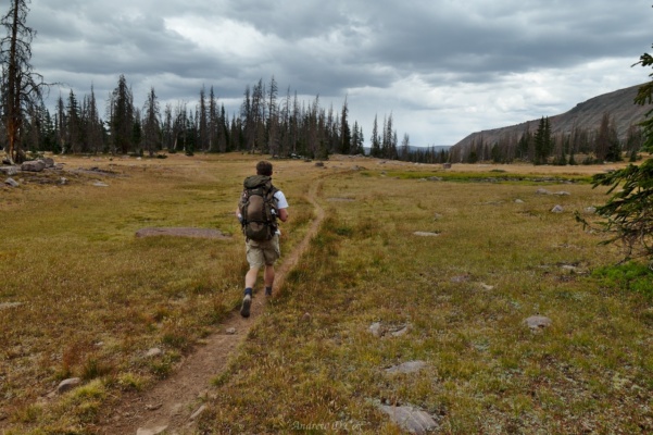 Brian walks down a lovely trail that winds through meadows, beside a handful of small lakes uinta mountains hiking backpacking