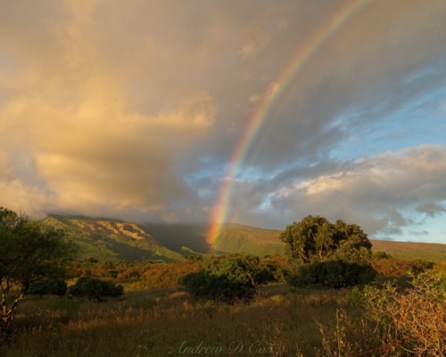 Yet another incredible rainbow while driving around the southern end of the island road to hana rainbow