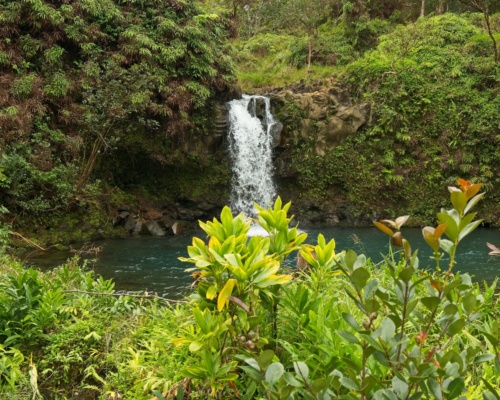 A small waterfall along the road to Hana road to hana waterfall