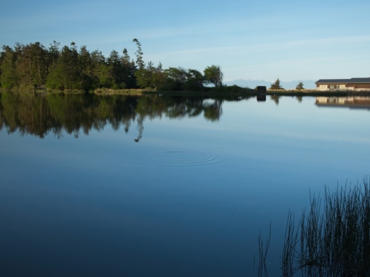 It's a calm, still morning at Deception Pass State park deception pass pond