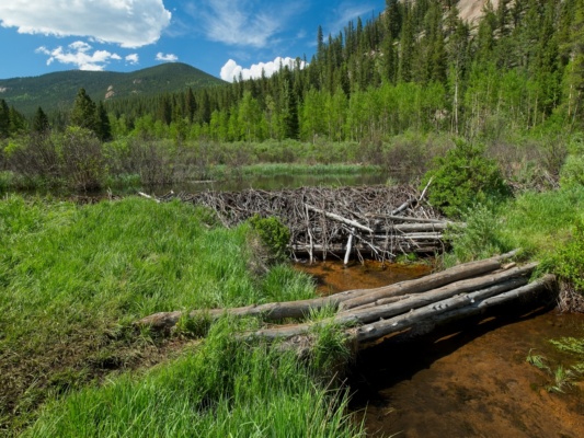 A fine example of engineering! lost creek wilderness