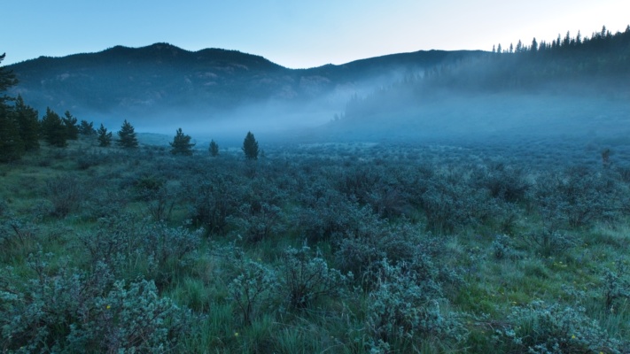 A layer of fog hovers over the valley lost creek wilderness