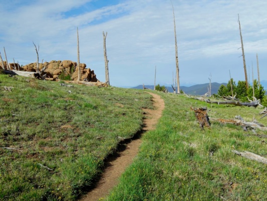 There isn't much vegetation to block the view up here lost creek wilderness