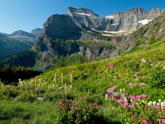Another incredible display of wildflowers along the path to Grinnell glacier glacier national park