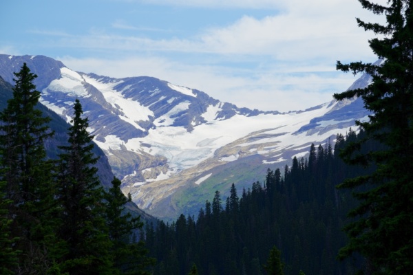 One of the largest glaciers in the park, seen from the overlook on the Going to the Sun road glacier national park jackson