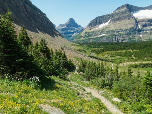 The trail climbs through Preston Park and begins ascending toward Siyeh Pass glacier national park trails