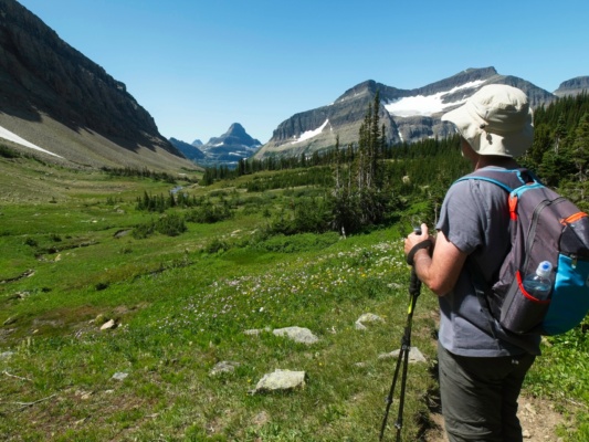 Reynolds Mountain looms over the meadow even though it is miles and miles away glacier national park reynolds mountain