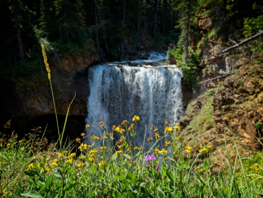 Back on the trail, we get another view of the falls from higher up glacier national park