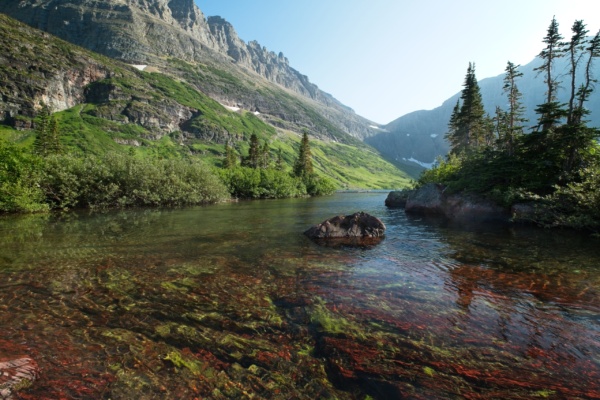 Red rocks and green moss, the perfect contrast! glacier national park