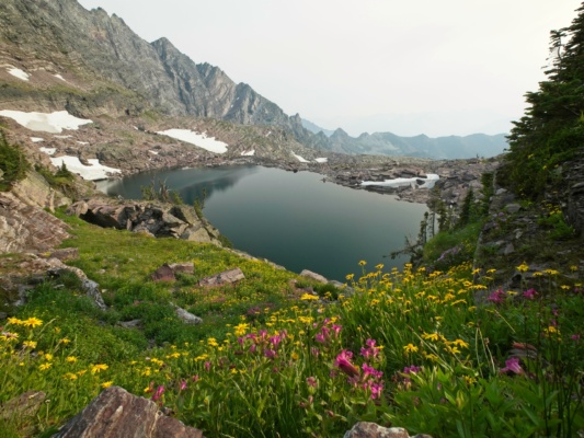I take my time a little more on the way down, stopping to photograph the lakes and flowers in the nice evening light glacier national park lake