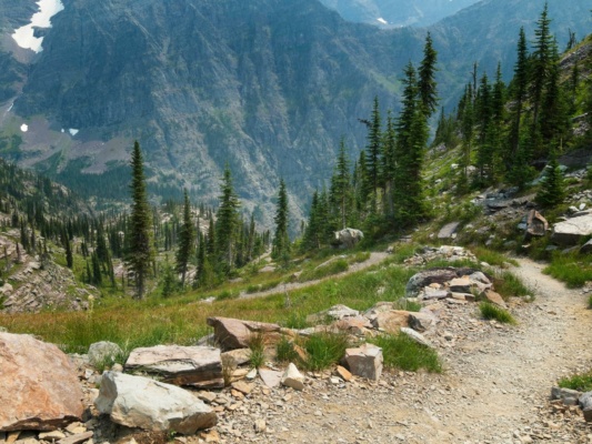 The goat watches us as we continue up the trail glacier national park goat