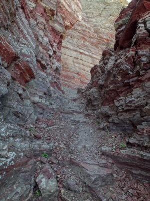 As we near the tunnel, the trail cuts through the rock glacier national park ptarmigan trail