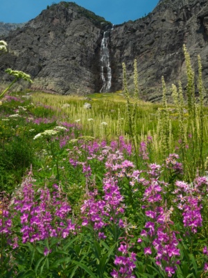 As we stroll around Lake Ellen Wilson, we pass another waterfall glacier national park waterfall