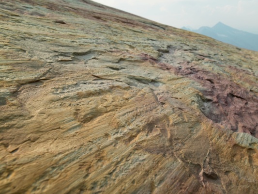 You can clearly see scratches in the rock left by flowing glacier glacier national park geology