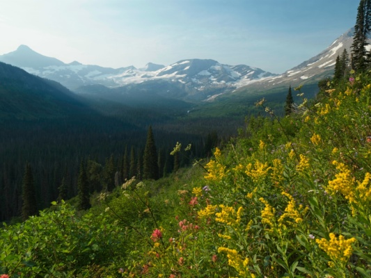 We occasionally glimpse Jackson Glacier through gaps in the trees glacier national park jackson glacier