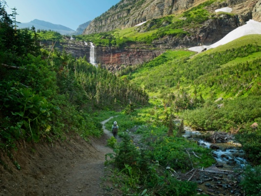 The trail and creek emerge from shadow and lead to the waterfall glacier national park
