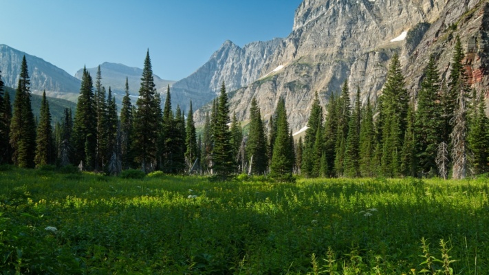 We pass through a beautiful meadow beneath some seriously tall cliffs glacier national park