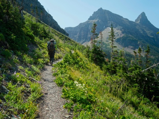 The trail climbs steadily upward glacier national park ptarmigan trail