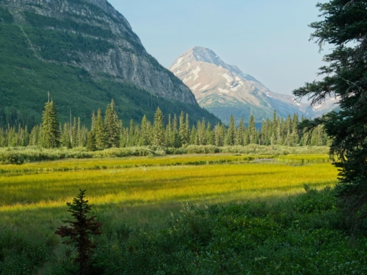 Another view of the marsh and the distant mountains that we'll cross later in the day glacier national park marsh