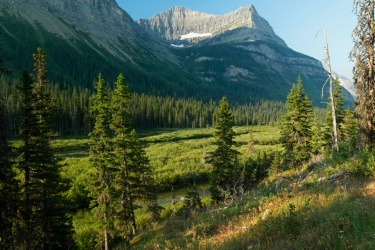 st-mary-river-marsh glacier national park