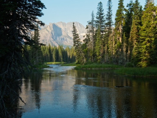 A moose cautiously watches us as we cross the Stump Lake outlet glacier national park