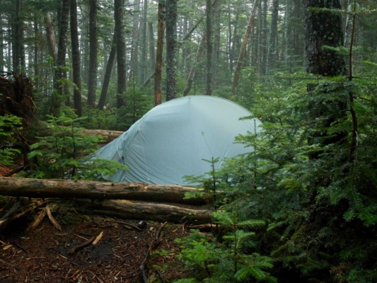 Diane's tent at our little site on a plateau below Mount Flume pemi loop