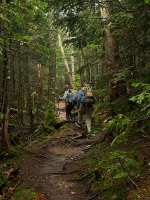 We begin a series of ups and downs as we reach the Franconia Ridge Trail pemi loop