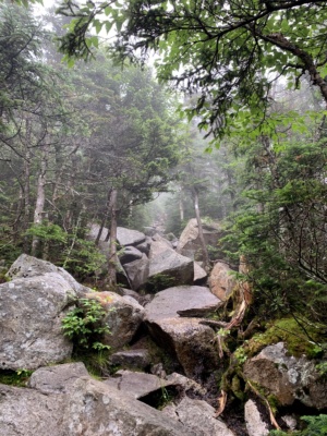 One of several "Are you $%#&ing kidding me" moments - Photo credit: Diane pemi loop