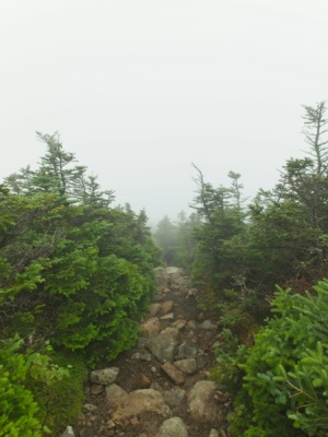 Looking down the stupidly-steep trail on South Twin Mountain - there's not much to see but cloud pemi loop