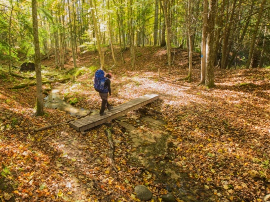 October is truly a wonderful time to walk this trail; the scenery is gorgeous! manistee river trail