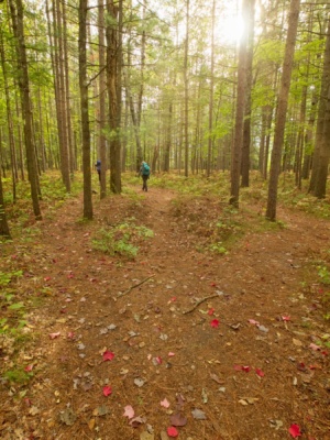 It's a lovely afternoon for a hike! manistee river trail