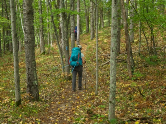 The North Country Trail is marked with blue blazes painted on the trees north country trail