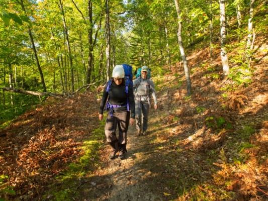 It's another sunny day! north country trail
