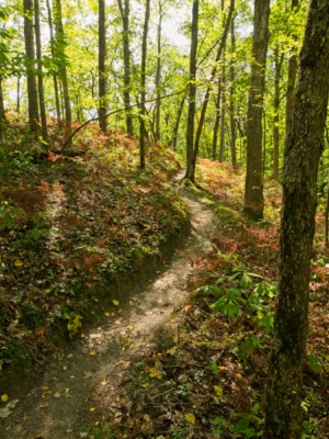 The ups and downs are longer on the North Country Trail, but still very manageable north country trail