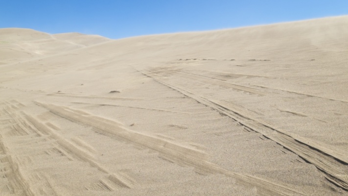 These interesting patterns were all over the dunes
