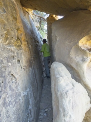 The petroglyph trail passes through some rocks