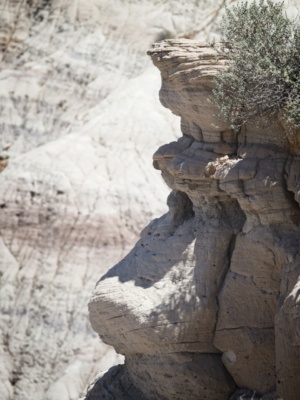 Don't tell me you can't see Jay Leno here