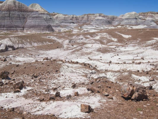 Gravel from some ancient creek bed scattered across the badlands