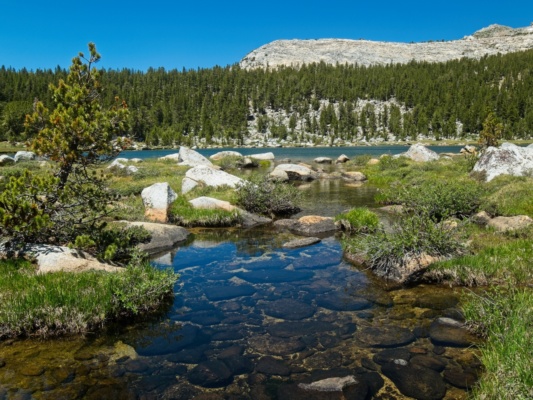I pass the first of the Gaylor Lakes while strolling through the pleasant alpine meadows sierra high route gaylor lakes