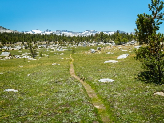 Now that I'm out of the trees, the views are really incredible! sierra high route alpine trail