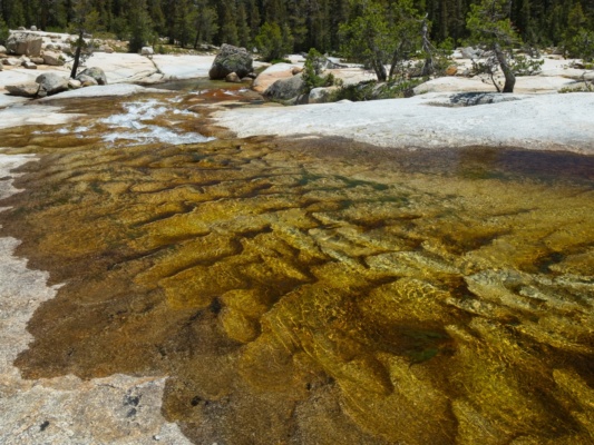 The water has carved these really interesting wave patterns into the granite pacific crest trail granite