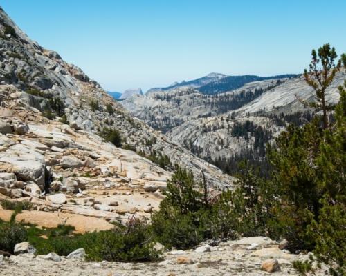 Another view of half dome from the Vogelsang area half dome