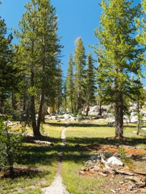 It's been a while since I've seen a trail! isberg pass trail