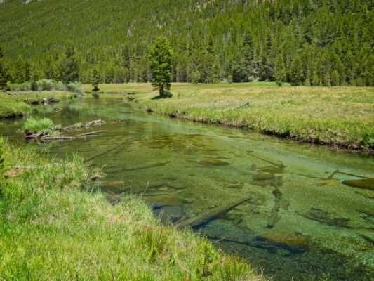 The water is such a pretty color! john muir trail lyell fork