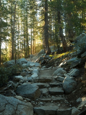 One of the perks of leaving camp early in the morning is strolling through the woods with all this beautiful light! pacific crest trail stairs