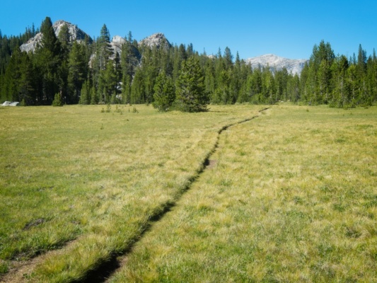 Can you see all the ruts beside the most recent PCT? Meadows are easily impacted, stay on the trail. pacific crest trail meadow