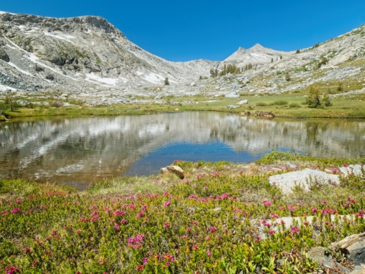 A beautiful pond in Bench Canyon sierra high route pond