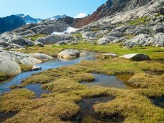 One of Roper's landmarks - a section of red rock - is clearly visible beyond the waterlogged meadow sierra high route cross country