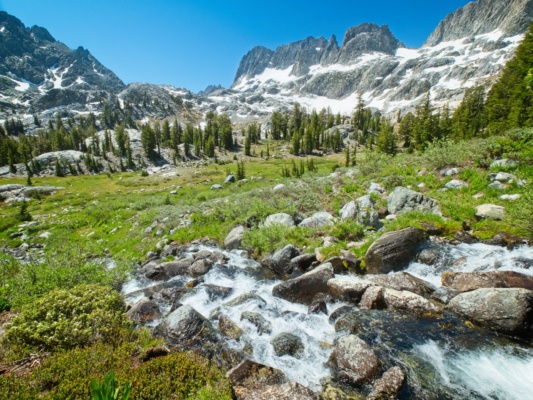 I follow a use trail beside the roaring creek up toward Whitebark Pass sierra high route cross country